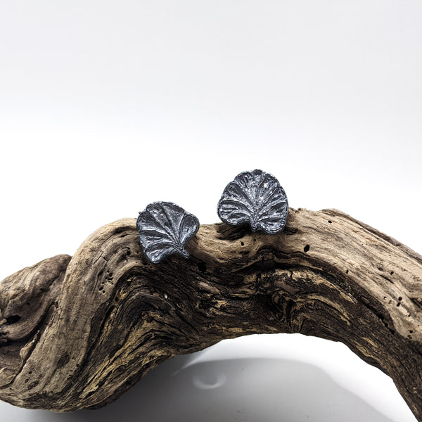 Anthracophyllum Earrings